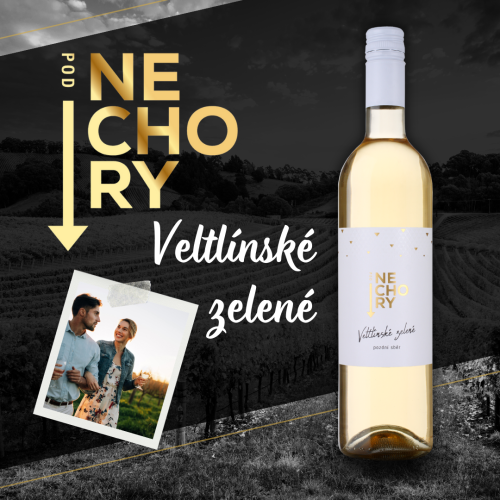 VELTLÍNSKÉ ZELENÉ / 2023 / Pozdní sběr