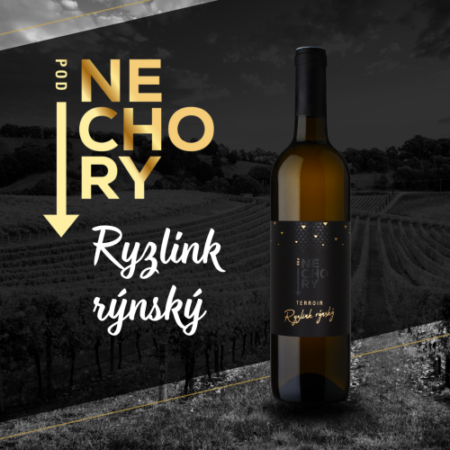 RYZLINK RÝNSKÝ / 2022 / Pozdní sběr