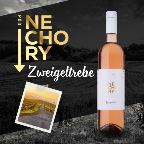 ZWEIGELTREBE / 2023 / Moravské zemské víno