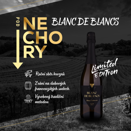BLANC DE BLANCS / 2022 / EXTRA BRUT