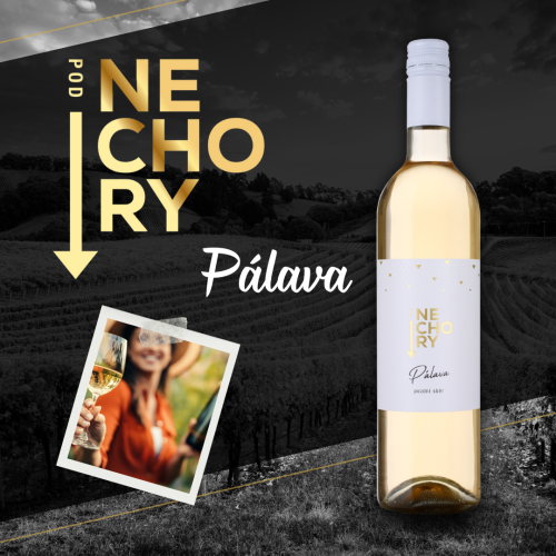 PÁLAVA / 2023 / Výběr z hroznů