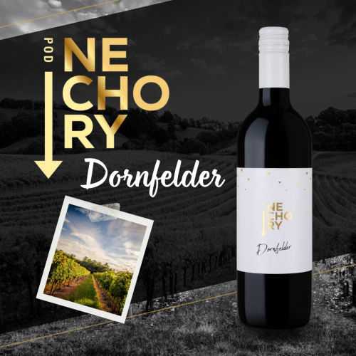 DORNFELDER / 2022