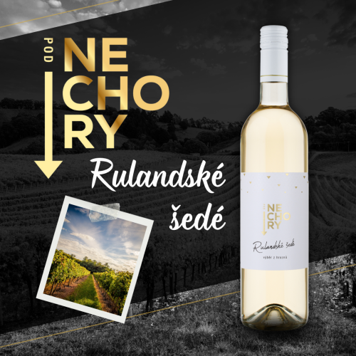 RULANDSKÉ ŠEDÉ / 2023 / Výběr z hroznů